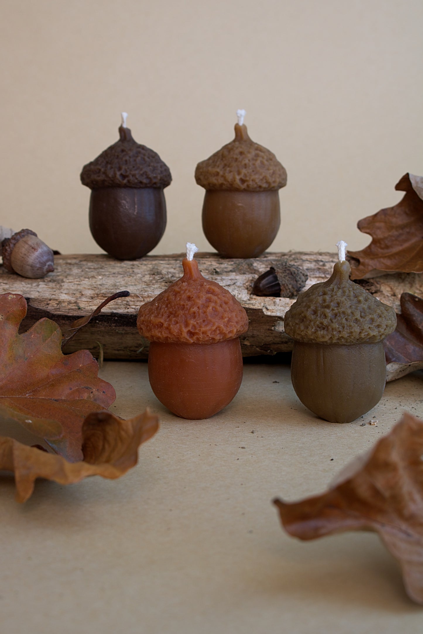 Acorn Box Set