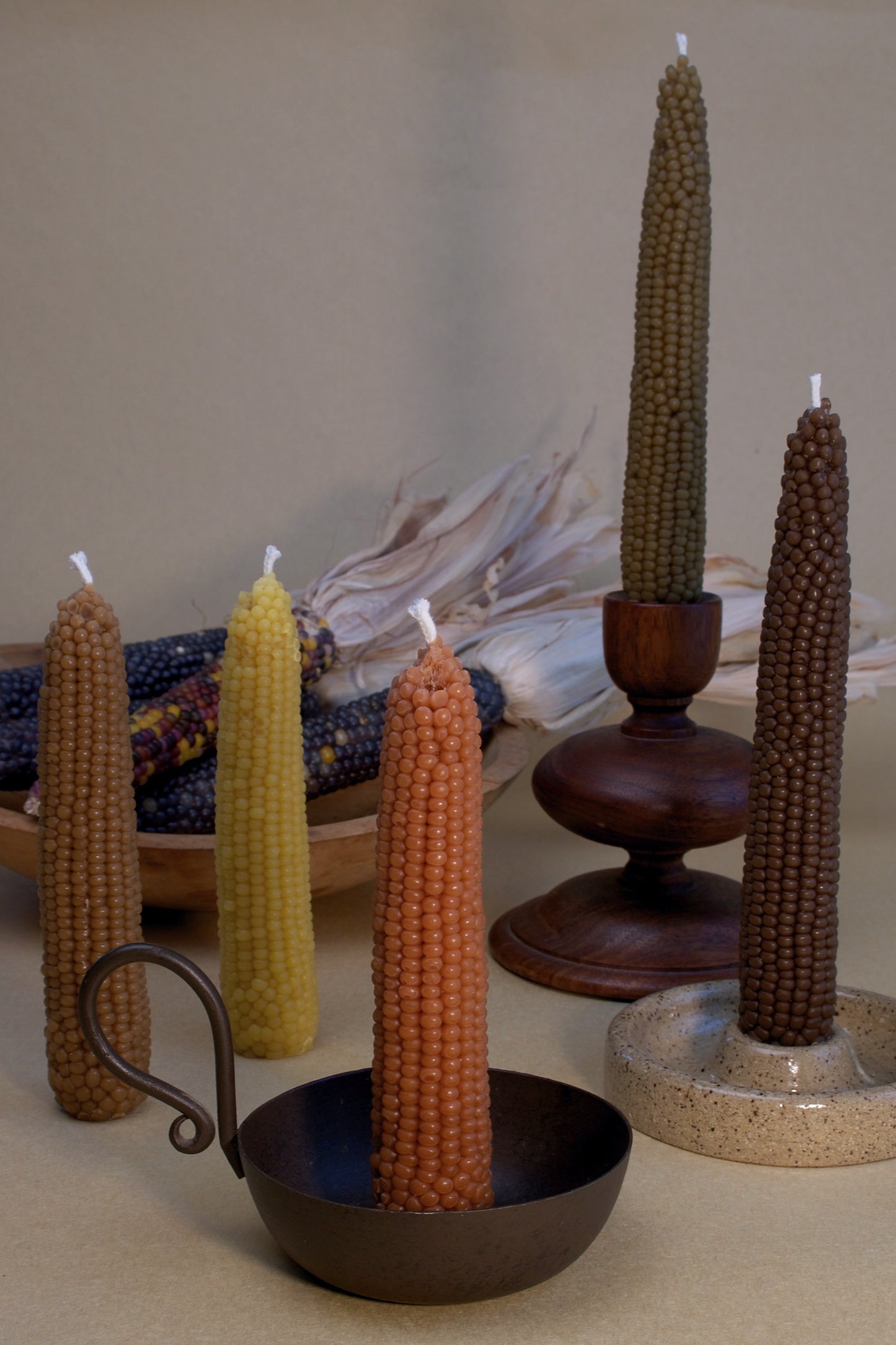Mini Indian Corn Cob Box Set