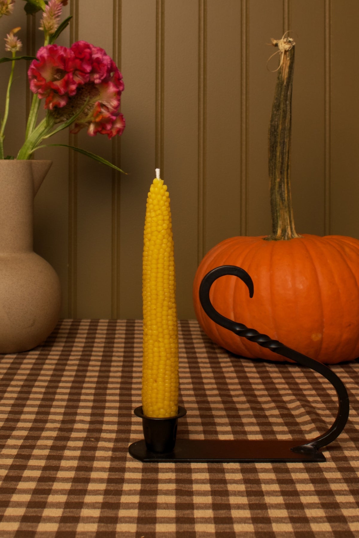 Indian Corn Cob