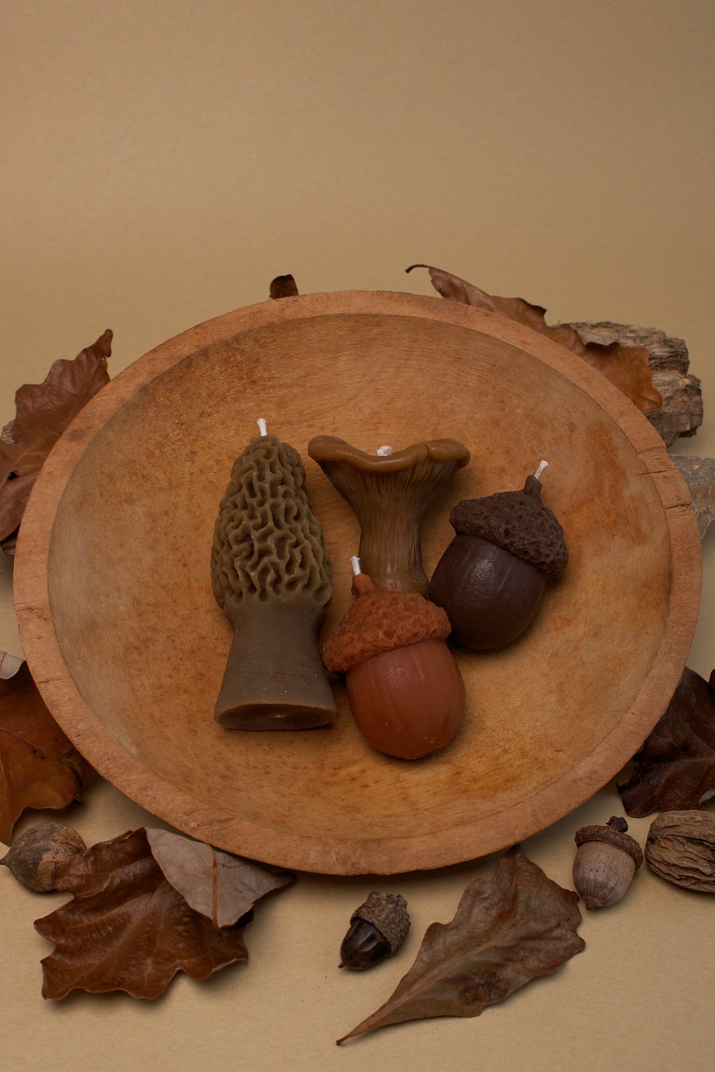Forest Floor Box Set