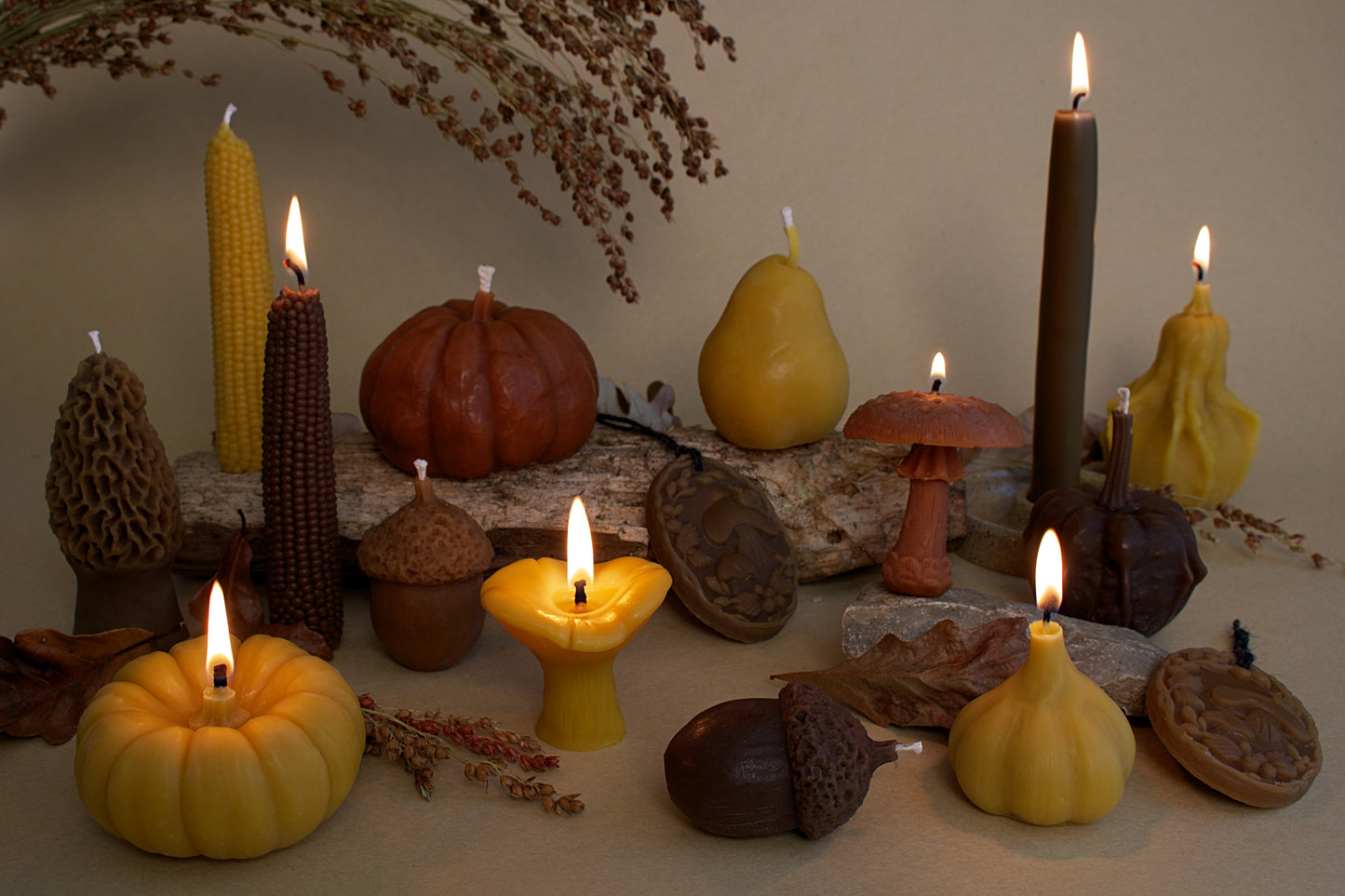 Acorn Box Set