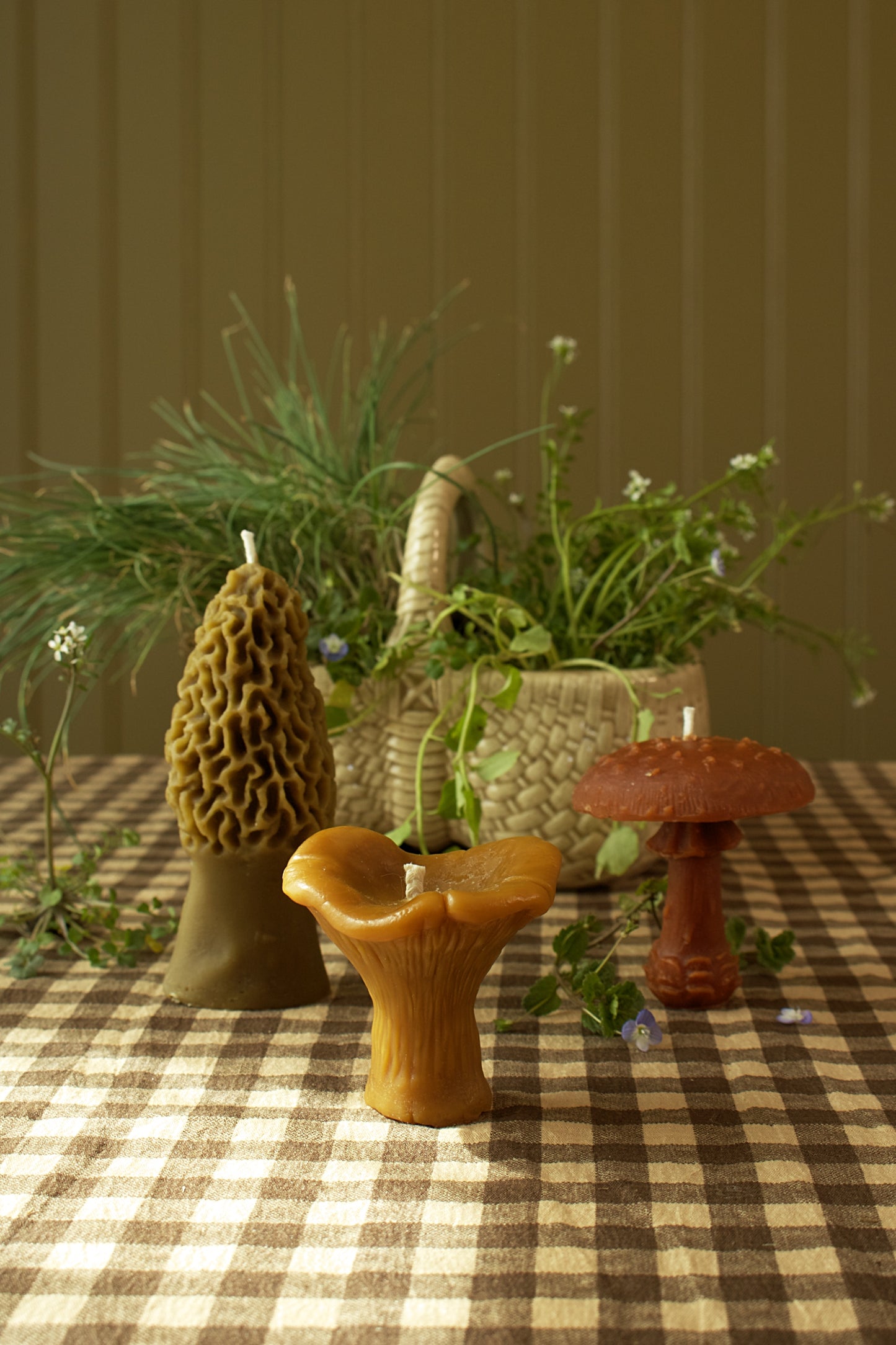 Amanita Mushroom
