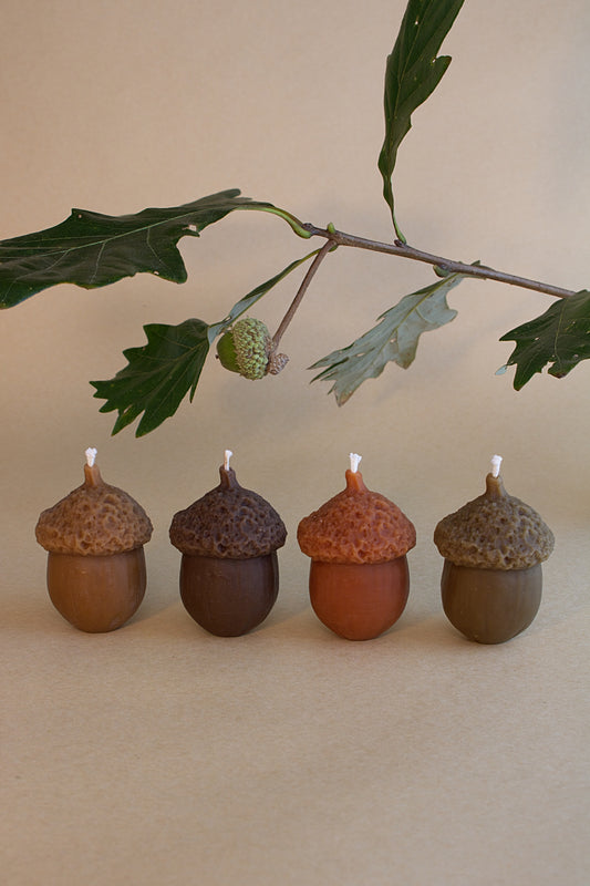 Acorn Box Set