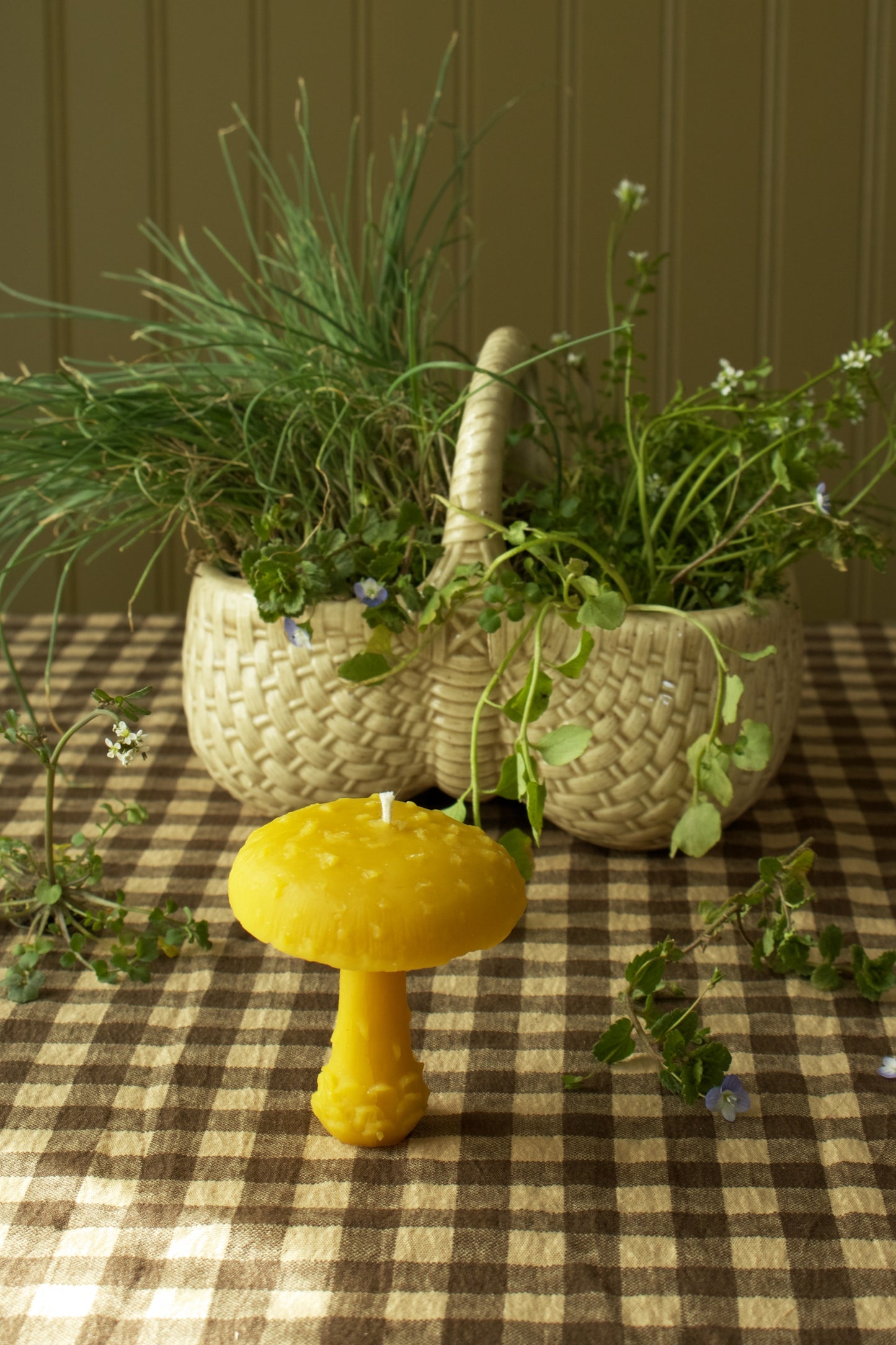 Amanita Mushroom