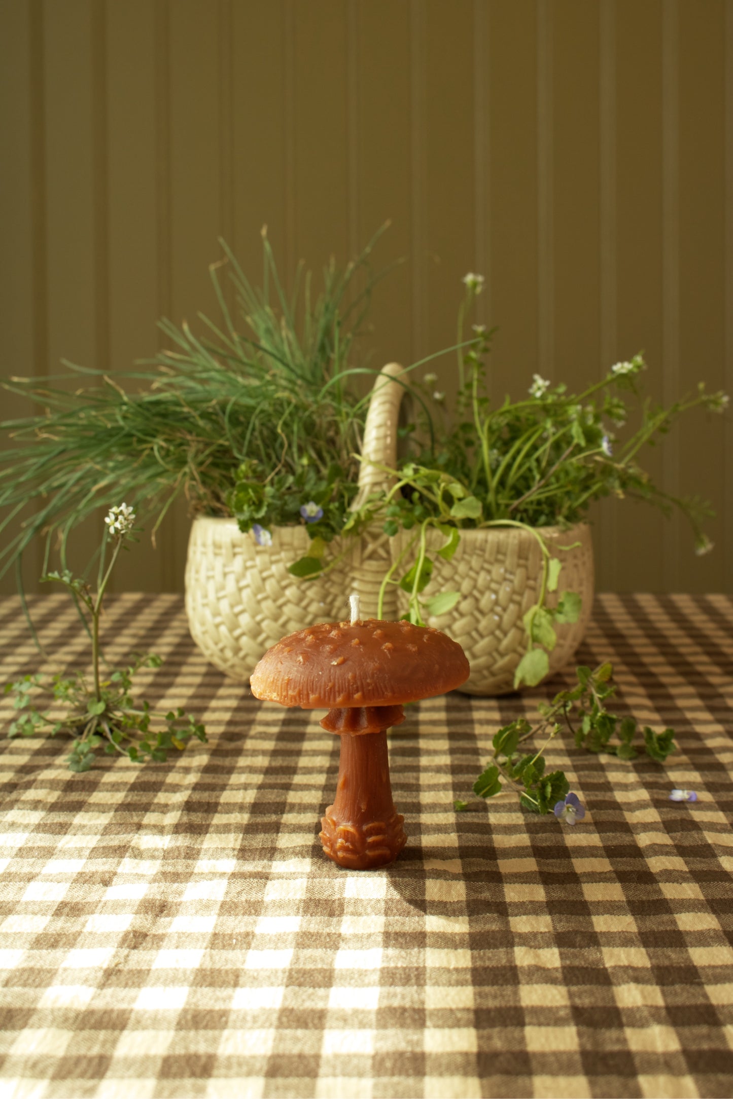 Amanita Mushroom