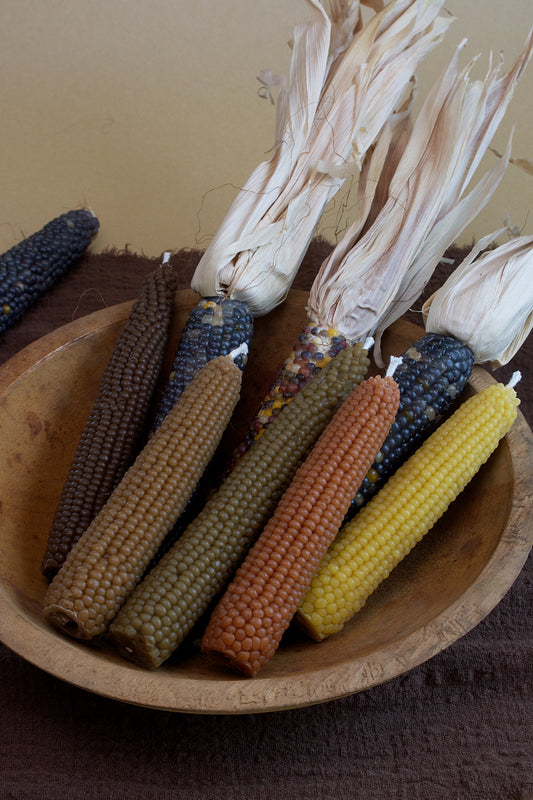 Mini Indian Corn Cob Box Set