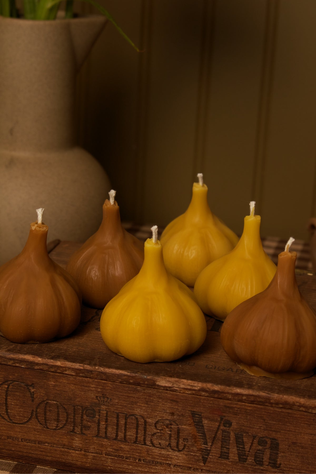 Garlic Bulb