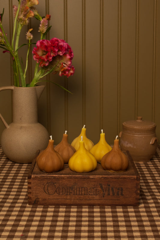 Garlic Bulb