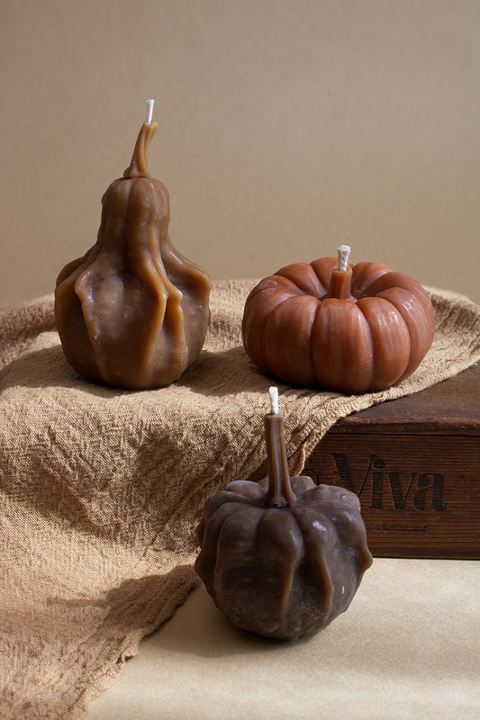 Mini Harvest Box Set