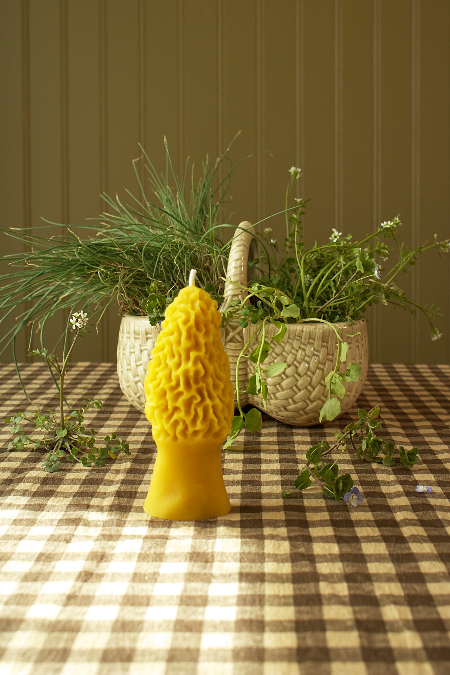 Morel Mushroom