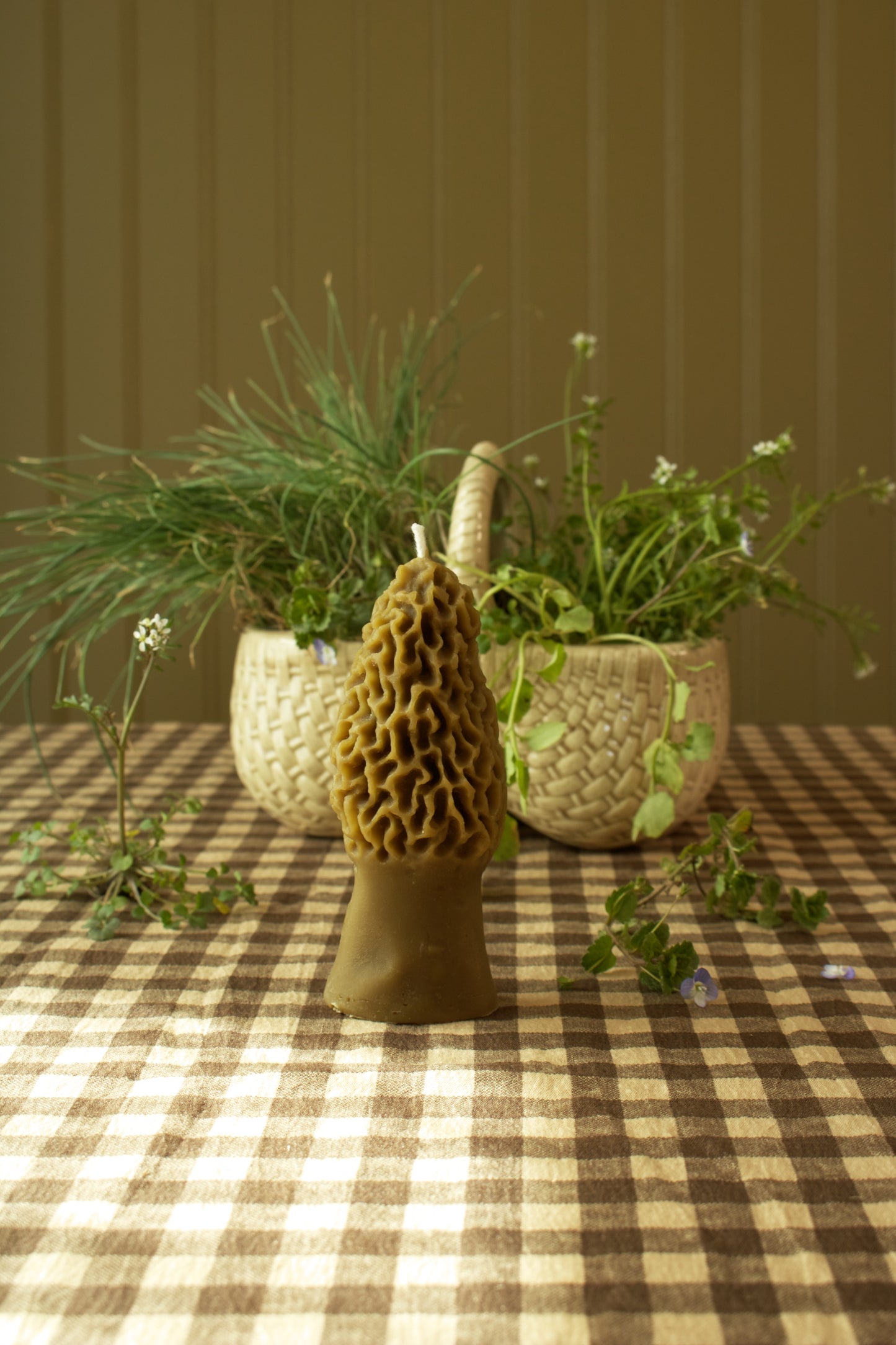 Morel Mushroom