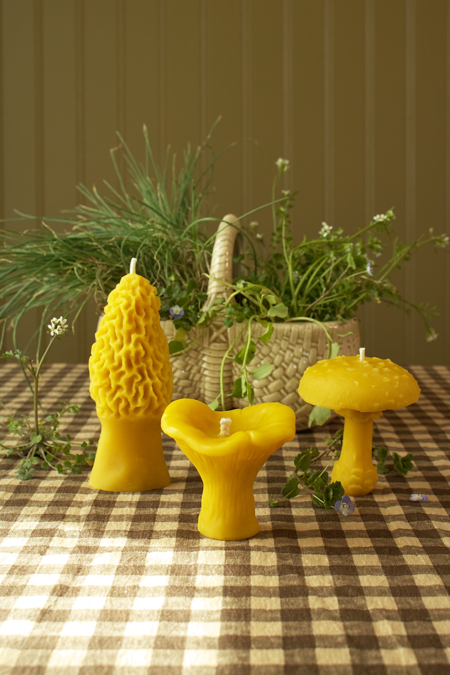 Amanita Mushroom