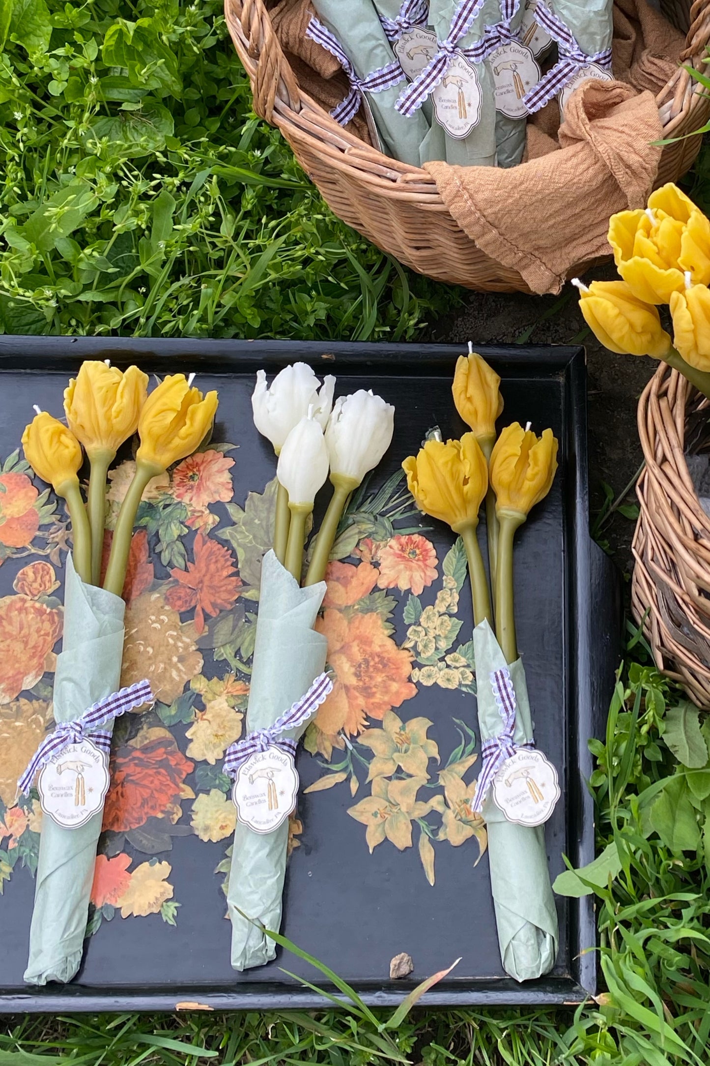 Tulip Taper Bouquet