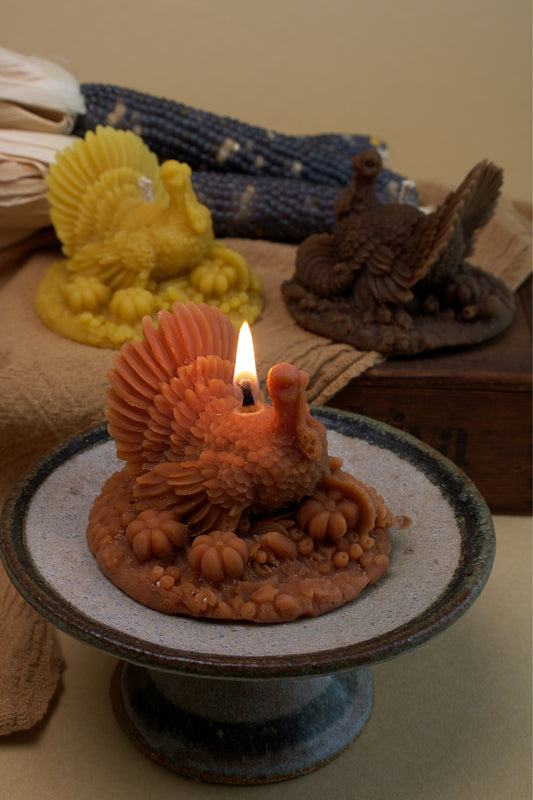 Autumn Turkey